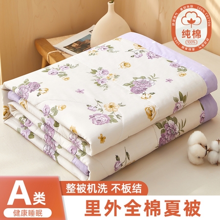 91家纺网 家纺一手货源 找家纺 （总）黛妮雅 2025新款全棉印花棉花被纯棉单件夏被夏凉被空调被 夏被四件套