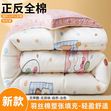 91家纺网 家纺一手货源 找家纺 （总）帕拉美拉 2025新款100%全棉小清新立体冬被学生被子被芯