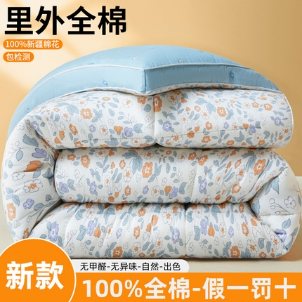 91家纺网 家纺一手货源 找家纺 （总）帕拉美拉 2025新款全棉100%新疆棉花款小清新立体冬被学生被子被芯