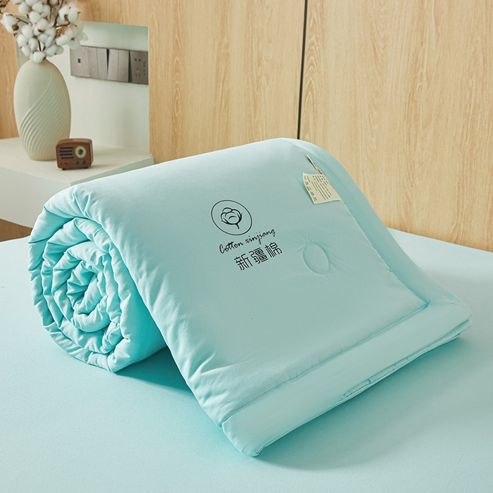 91家纺网 家纺一手货源 找家纺 晓时候 2025新款无印风水洗棉新疆棉花被夏被夏凉被空调被子 素夏-水蓝