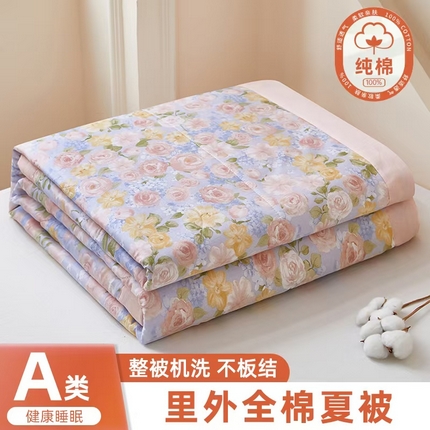 91家纺网 家纺一手货源 找家纺 （总）黛妮雅 2025新款全棉印花棉花被纯棉单件夏被夏凉被空调被 夏被四件套