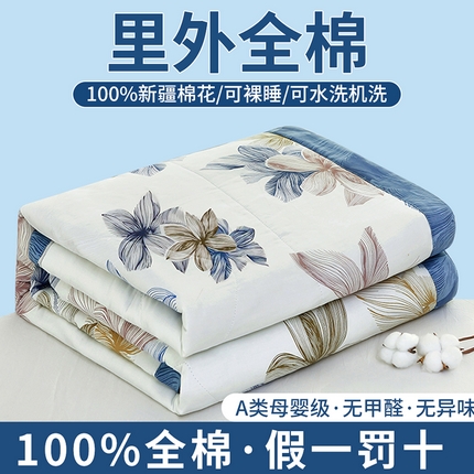 91家纺网 家纺一手货源 找家纺 （总）黛妮雅 2025新款全棉印花棉花被纯棉单件夏被夏凉被空调被 夏被四件套