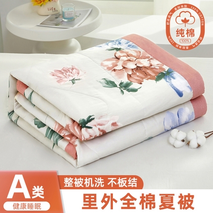 91家纺网 家纺一手货源 找家纺 （总）黛妮雅 2025新款全棉印花棉花被纯棉单件夏被夏凉被空调被 夏被四件套