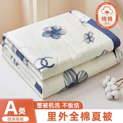 91家纺网 家纺一手货源 找家纺 （总）黛妮雅 2025新款全棉印花棉花被纯棉单件夏被夏凉被空调被 夏被四件套