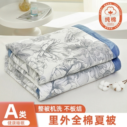 91家纺网 家纺一手货源 找家纺 （总）黛妮雅 2025新款全棉印花棉花被纯棉单件夏被夏凉被空调被 夏被四件套