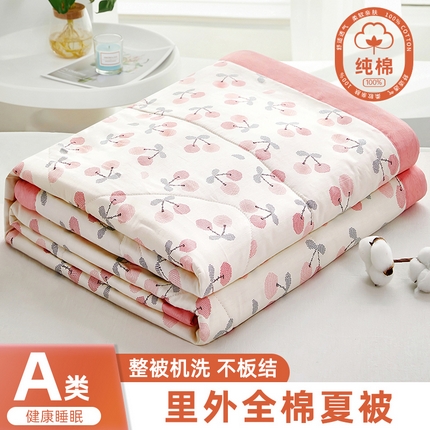 91家纺网 家纺一手货源 找家纺 （总）黛妮雅 2025新款全棉印花棉花被纯棉单件夏被夏凉被空调被 夏被四件套