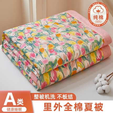 91家纺网 家纺一手货源 找家纺 （总）黛妮雅 2025新款全棉印花棉花被纯棉单件夏被夏凉被空调被 夏被四件套