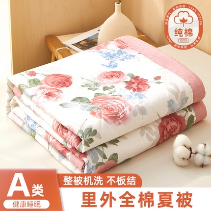 91家纺网 家纺一手货源 找家纺 （总）黛妮雅 2025新款全棉印花棉花被纯棉单件夏被夏凉被空调被 夏被四件套