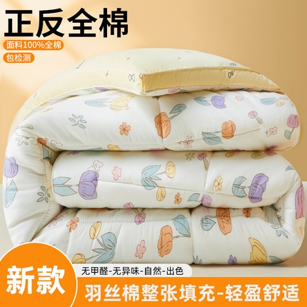 91家纺网 家纺一手货源 找家纺 （总）帕拉美拉 2025新款100%全棉小清新立体冬被学生被子被芯