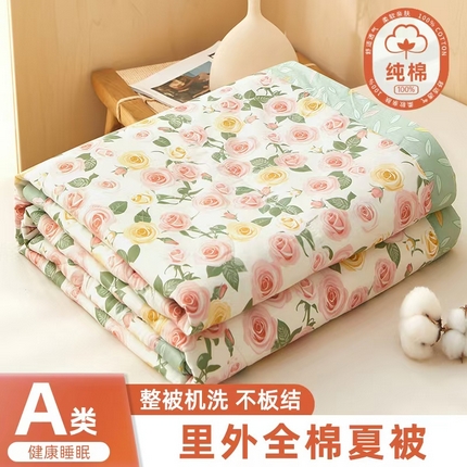 91家纺网 家纺一手货源 找家纺 （总）黛妮雅 2025新款全棉印花棉花被纯棉单件夏被夏凉被空调被 夏被四件套