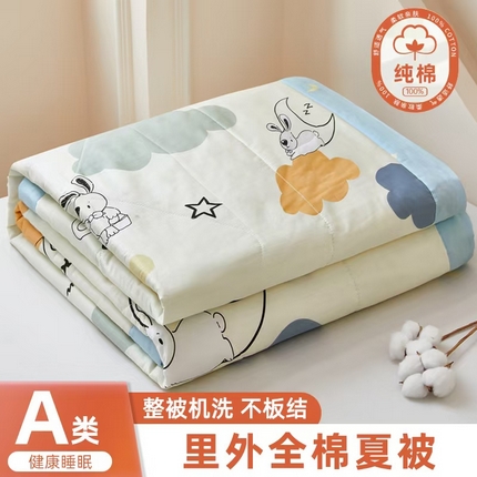 91家纺网 家纺一手货源 找家纺 （总）黛妮雅 2025新款全棉印花棉花被纯棉单件夏被夏凉被空调被 夏被四件套