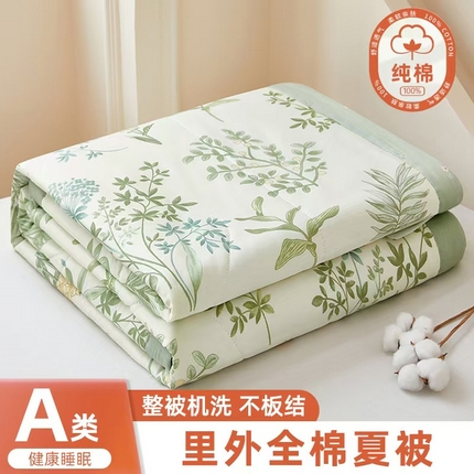 91家纺网 家纺一手货源 找家纺 （总）黛妮雅 2025新款全棉印花棉花被纯棉单件夏被夏凉被空调被 夏被四件套