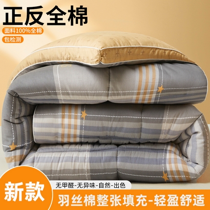 91家纺网 家纺一手货源 找家纺 （总）帕拉美拉 2025新款100%全棉小清新立体冬被学生被子被芯