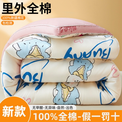 91家纺网 家纺一手货源 找家纺 （总）帕拉美拉 2025新款全棉100%新疆棉花款小清新立体冬被学生被子被芯
