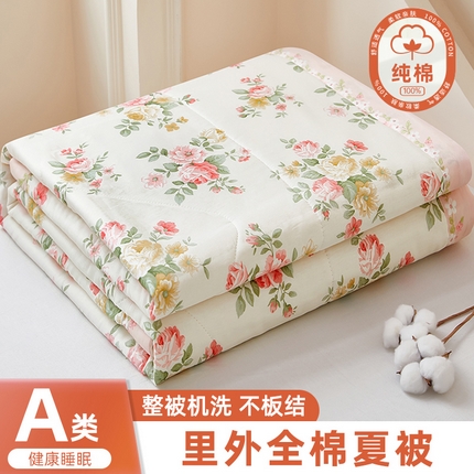 91家纺网 家纺一手货源 找家纺 （总）黛妮雅 2025新款全棉印花棉花被纯棉单件夏被夏凉被空调被 夏被四件套