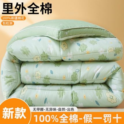 91家纺网 家纺一手货源 找家纺 （总）帕拉美拉 2025新款全棉100%新疆棉花款小清新立体冬被学生被子被芯