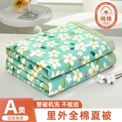 91家纺网 家纺一手货源 找家纺 （总）黛妮雅 2025新款全棉印花棉花被纯棉单件夏被夏凉被空调被 夏被四件套