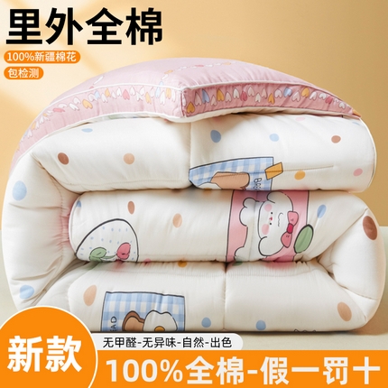 91家纺网 家纺一手货源 找家纺 帕拉美拉 2025新款全棉100%新疆棉花款小清新立体冬被学生被子被芯 爱恋宝贝