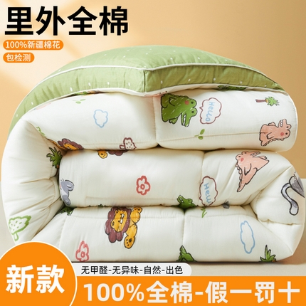 91家纺网 家纺一手货源 找家纺 （总）帕拉美拉 2025新款全棉100%新疆棉花款小清新立体冬被学生被子被芯