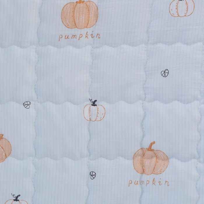 91家纺网 家纺一手货源 找家纺 被多多被业  2025新款小清新印花小竺棉多针绗绣夏凉被 小南瓜