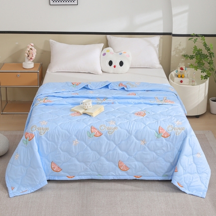 91家纺网 家纺一手货源 找家纺 被多多被业  2025新款清新印花亲肤绒超声波工艺夏凉被 水果派