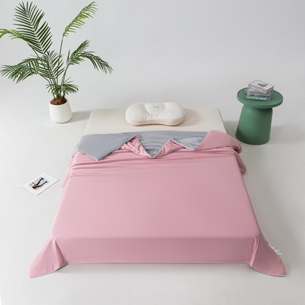 名兮家居 2025新款凉感丝夏被夏凉被空调被（场景一） 豆沙-浅灰