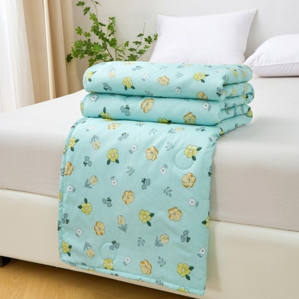 2025新款亲肤绒礼品夏被窄边 蓝韵花田