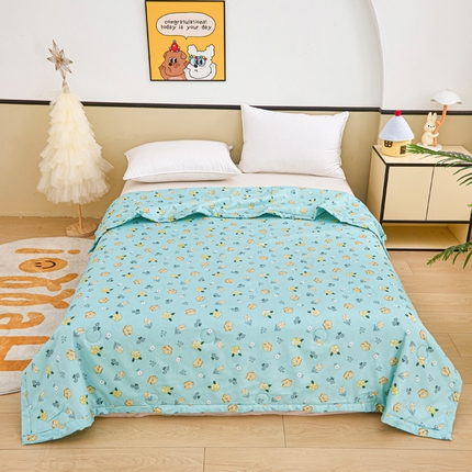 侨鑫 2025新款亲肤水洗棉夏被宽边 蓝韵花田