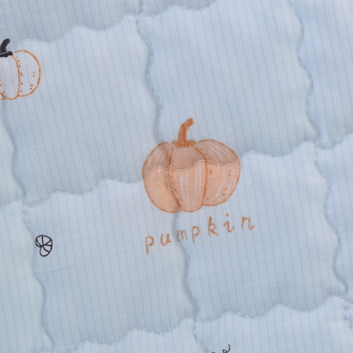 91家纺网 家纺一手货源 找家纺 被多多被业  2025新款小清新印花小竺棉多针绗绣夏凉被 小南瓜