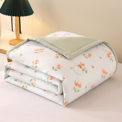 91家纺网 家纺一手货源 找家纺 诗雅2025新款A类小竺棉夏被被子被芯 范伊克