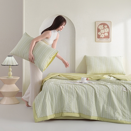 吾诺 2025 韩式立体提花公主格大豆夏被子被芯夏凉被夏被四件套 公主格-绿