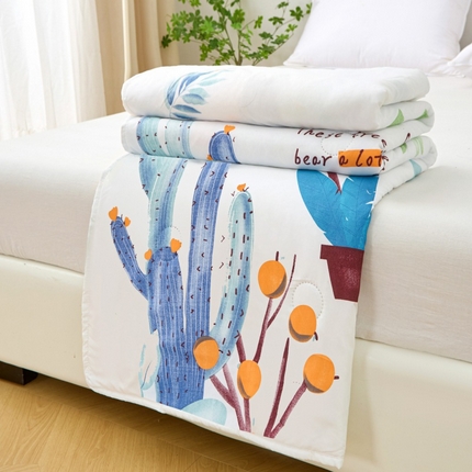 2025新款亲肤绒礼品夏被窄边 夏日仙人掌