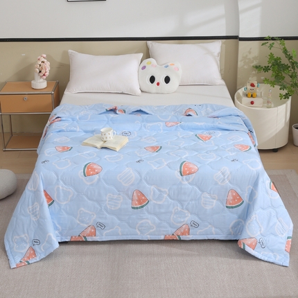 被多多被业  2025新款清新印花亲肤绒超声波工艺夏凉被 凉爽夏日