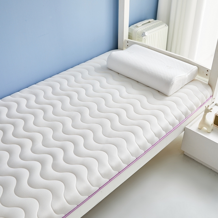 91家纺网 家纺一手货源 找家纺 （总）艺博床垫 2025新款牛奶丝学生床垫