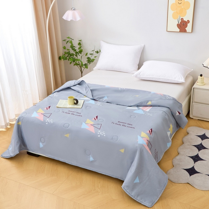 91家纺网 家纺一手货源 找家纺 2025新款亲肤绒礼品夏被窄边 卡思图