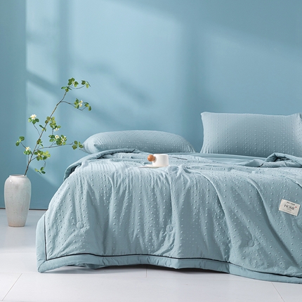 吾诺 2025 凉豆豆针织棉双层纱夏被四件套水洗棉夏凉被空调被 豆豆蓝