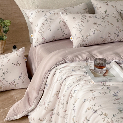 慕晨 2025新款全棉双层纱四件套莱赛尔夏被莱赛尔夏被四件套天丝夏凉被直播 云绣梦静-粉