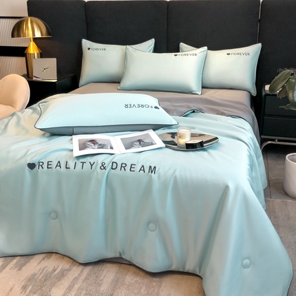 吾诺 2025 双拼及羽毛刺绣夏被四件套绣花夏被水洗天丝夏被水洗真丝夏凉被空调被 梵星蓝-经典灰