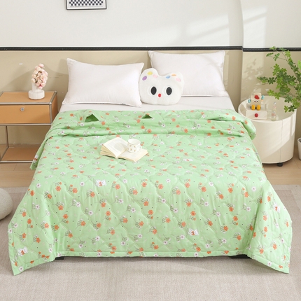 被多多被业  2025新款清新印花亲肤绒超声波工艺夏凉被 春意盎然