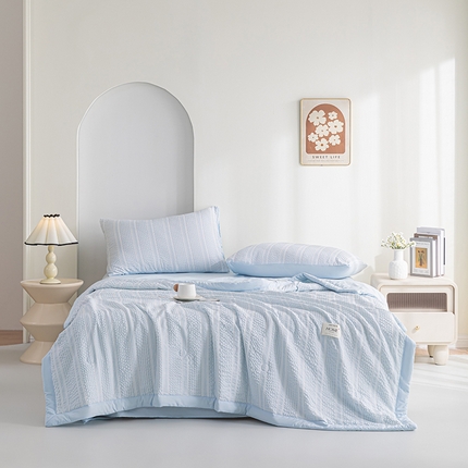 吾诺 2025 韩式立体提花公主格大豆夏被子被芯夏凉被夏被四件套 公主格-兰