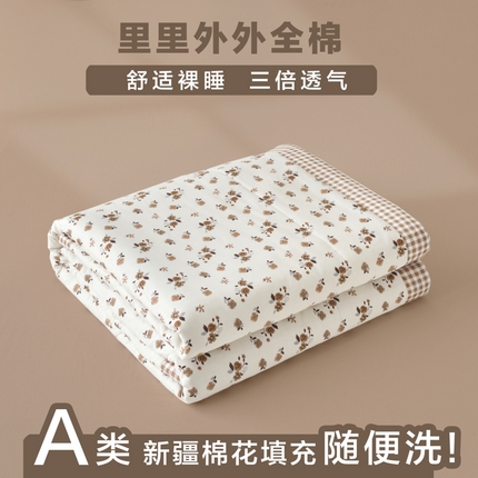 维洋家纺 2025新款里外全棉印花棉花夏凉被 花之梦