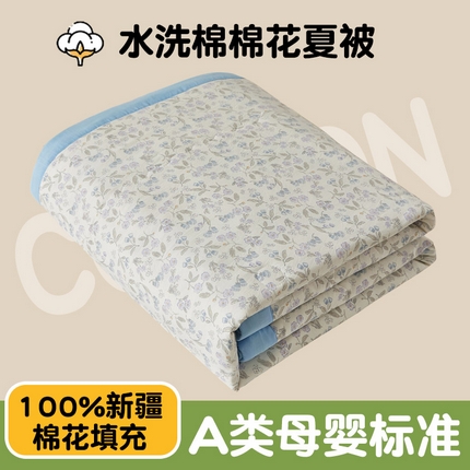 91家纺网 家纺一手货源 找家纺 鑫佰利 2025新款A类水洗棉印花纯棉花夏被子被芯 繁花