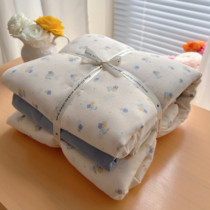 桃喜 2025新款春夏全棉双层纱碎花系列四件套 柚香兰