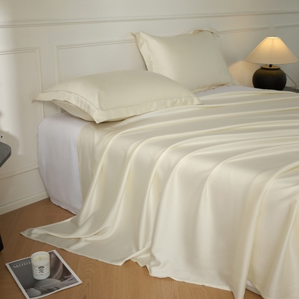 91家纺网 家纺一手货源 找家纺 （总）涵宸 2025新款天丝-天丝棉-纯色单床单-场景1