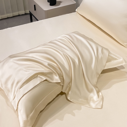 涵宸2025新款天丝TM纯色-单枕套 单枕套-奶昔