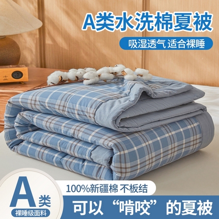 鑫佰利 2025新款A类水洗棉新疆棉花夏被子被芯 乔南蓝