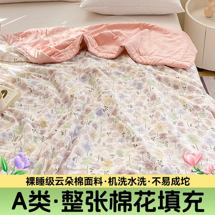 梵蒂莎 2025云朵棉棉花夏被雾岛听风