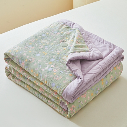 爱屋及屋2025新款棉花夏被 春意