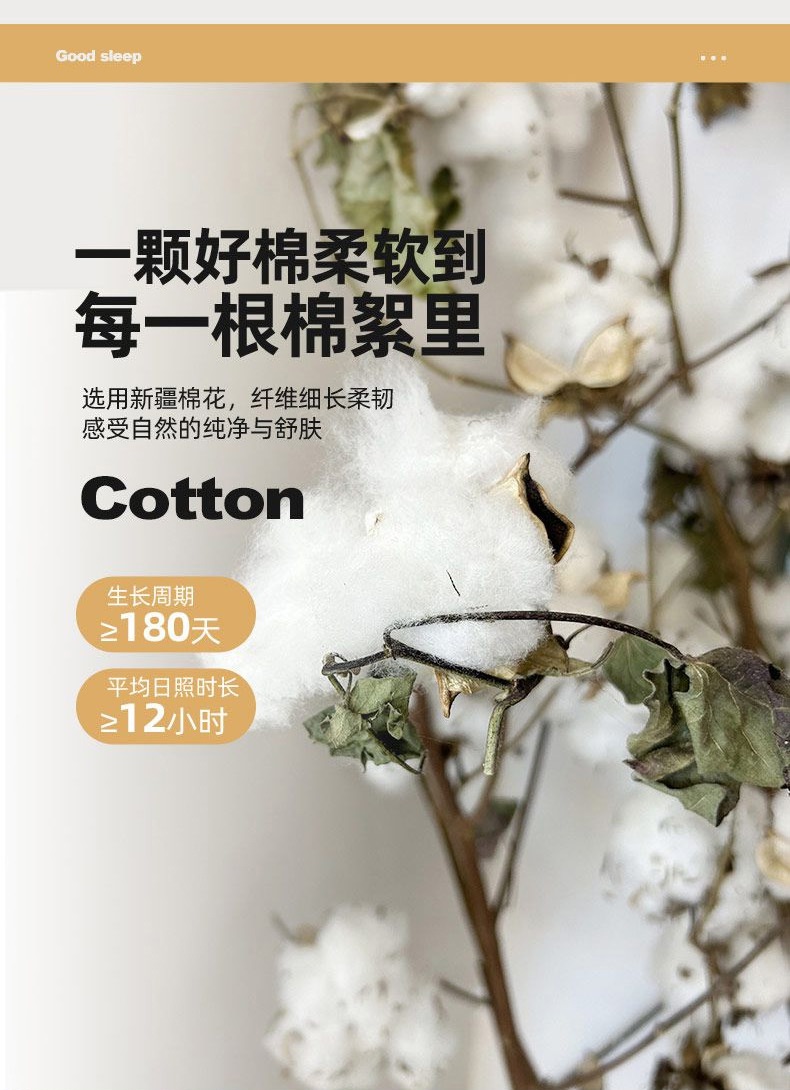 91家纺网 家纺一手货源 找家纺 2025新款纯棉棉花夏被 被子被芯 花语菲菲