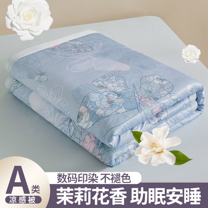 91家纺网 家纺一手货源 找家纺 兴邦 2026新款直播爆款夏被花香凉感数码印花夏凉被空调被可机洗被芯 蝶舞纷飞